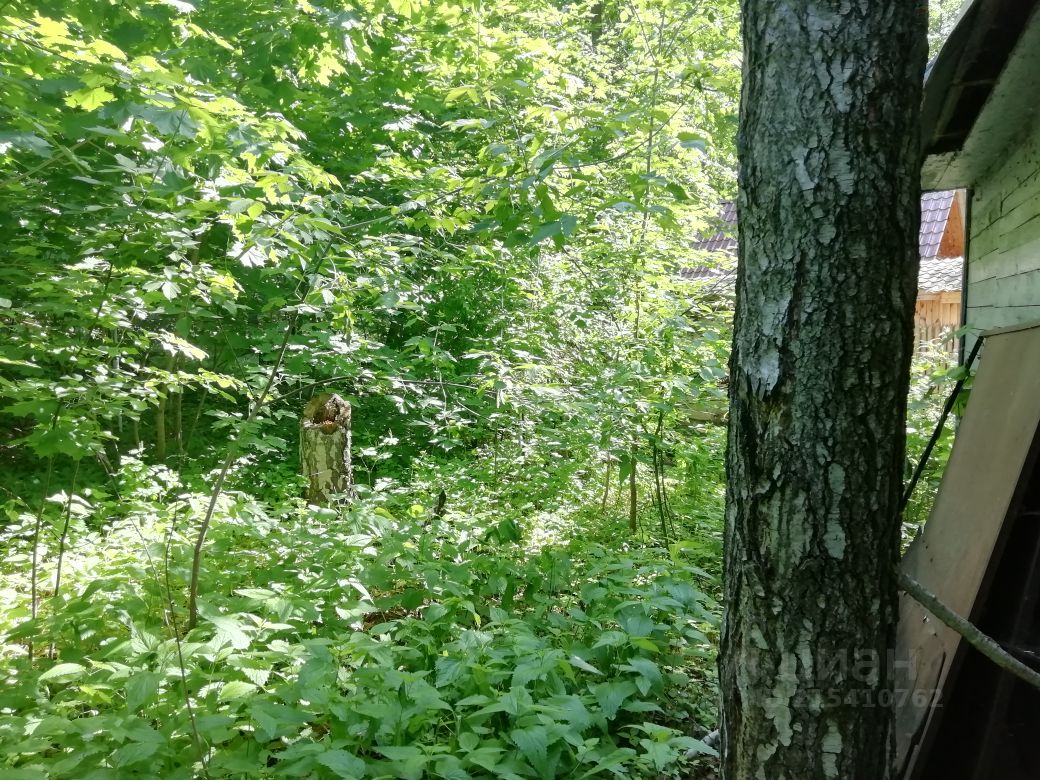 Купить загородную недвижимость в дачном поселке Зеленый Бор в сельском  поселении Матюшинское, продажа загородной недвижимости - база объявлений  Циан. Найдено 13 объявлений