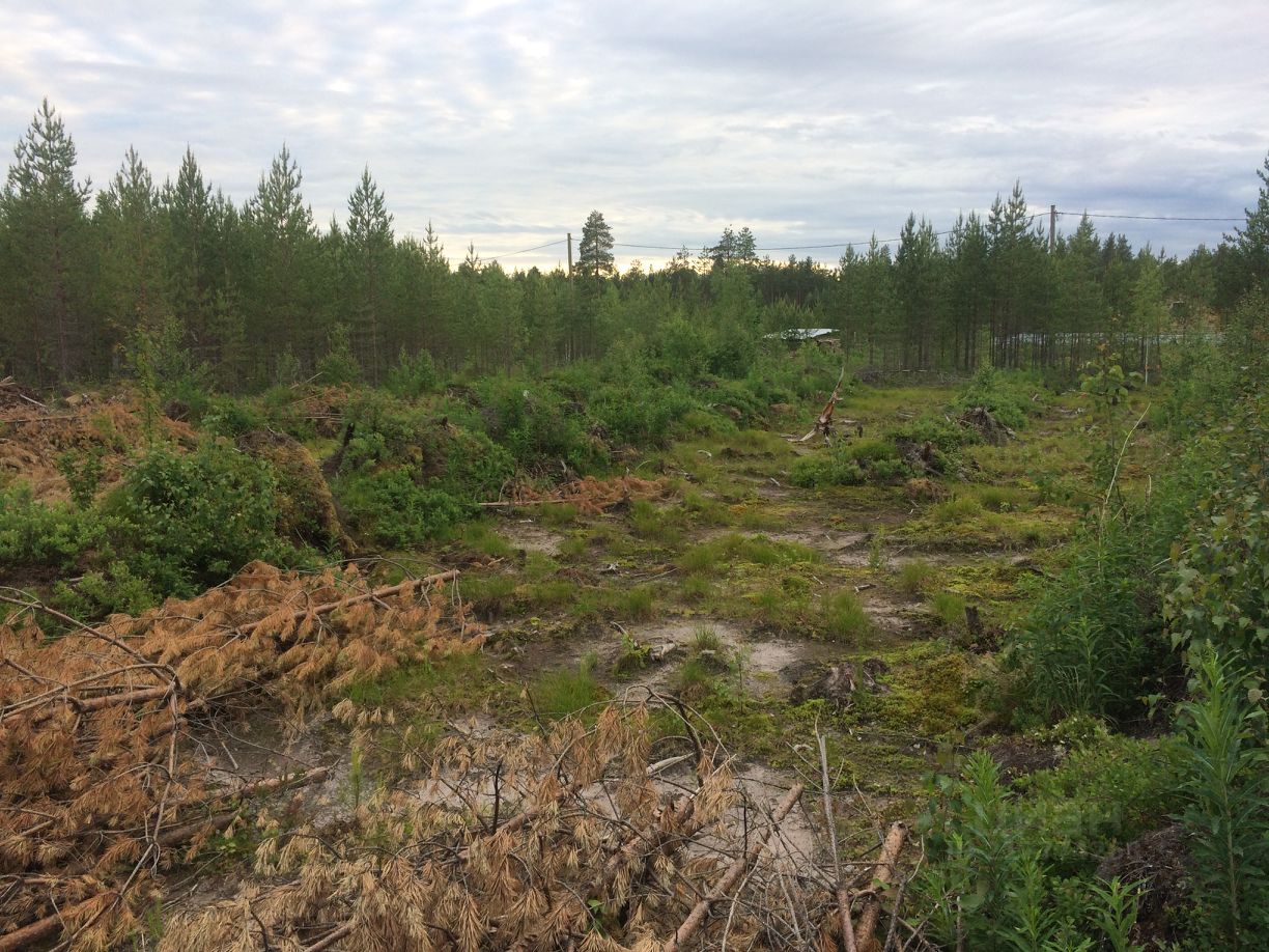 Купить загородную недвижимость в коттеджном поселке Яг-кар городского  округа Сыктывкара, продажа загородной недвижимости - база объявлений Циан.  Найдено 2 объявления