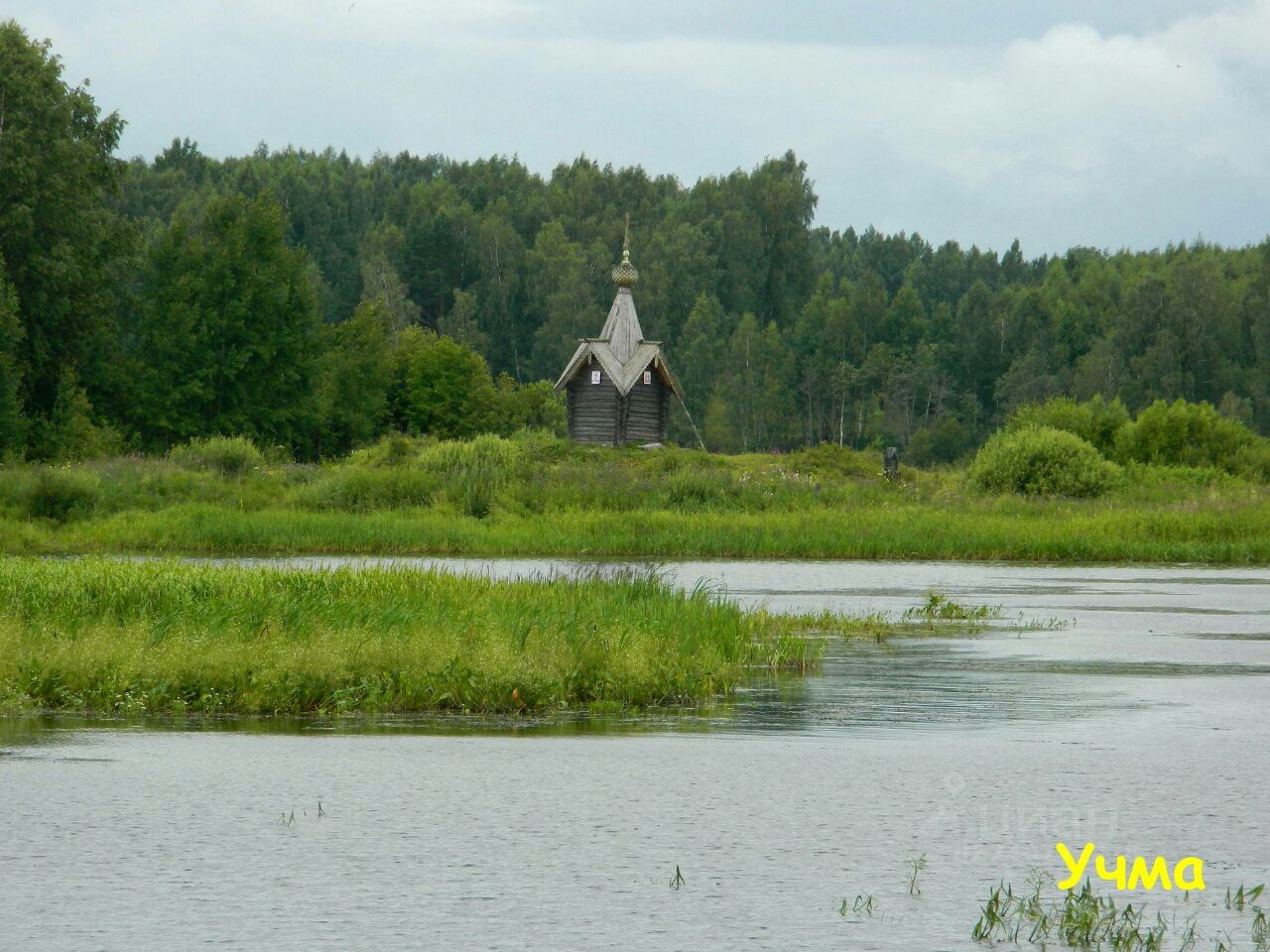Учма. Учма Ярославская область фото. Чёрное болото деревня Учма.
