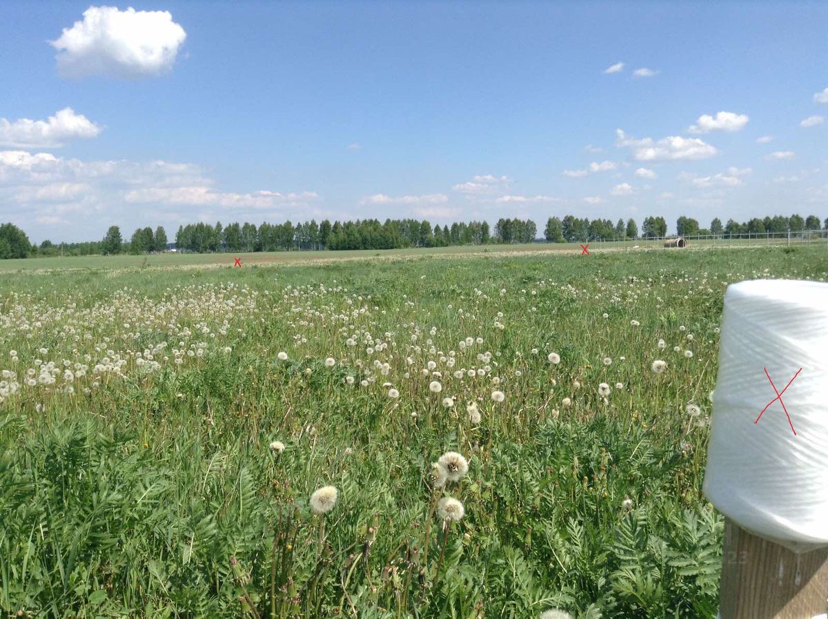 Купить загородную недвижимость в деревне Крашово Богородского района,  продажа загородной недвижимости - база объявлений Циан. Найдено 1 объявление