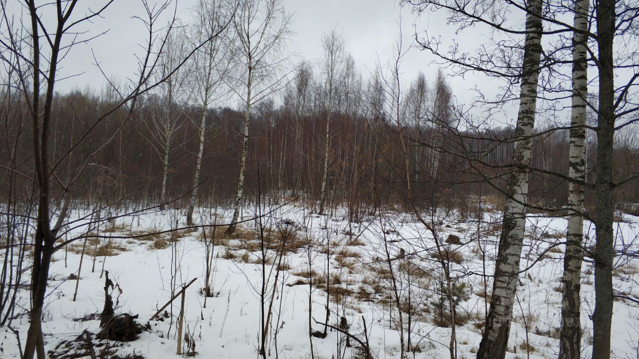 Купить земельный участок в СНТ Коптево-2 городского округа Серпухова,  продажа земельных участков - база объявлений Циан. Найдено 1 объявление