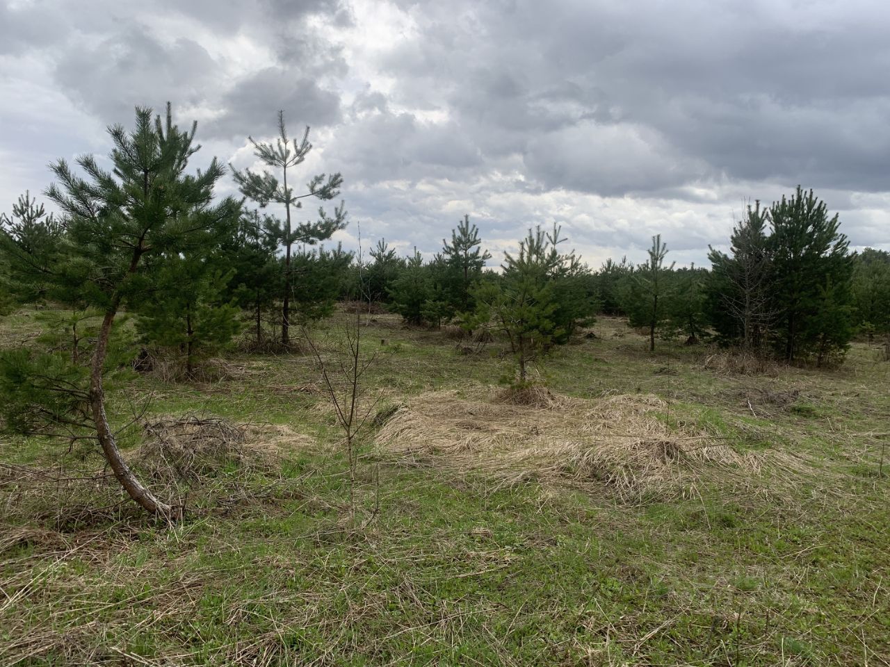 Купить загородную недвижимость в селе Покровское Заокского района, продажа  загородной недвижимости - база объявлений Циан. Найдено 3 объявления