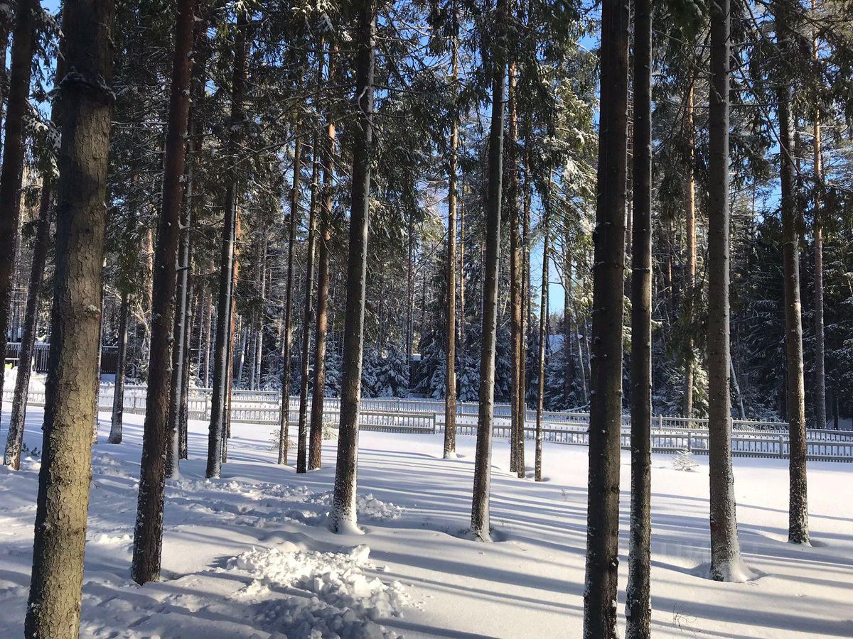 Снять дом в поселке городского типа Рощино Выборгского района, аренда домов  на длительный срок. Найдено 2 объявления.