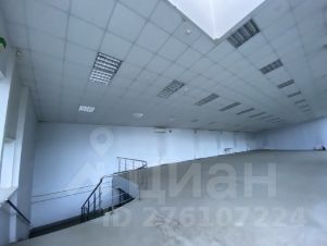 своб. назнач. 250 м², этаж 2