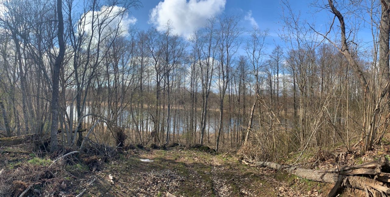 Купить загородную недвижимость в деревне Сырец Лужского района, продажа  загородной недвижимости - база объявлений Циан. Найдено 1 объявление