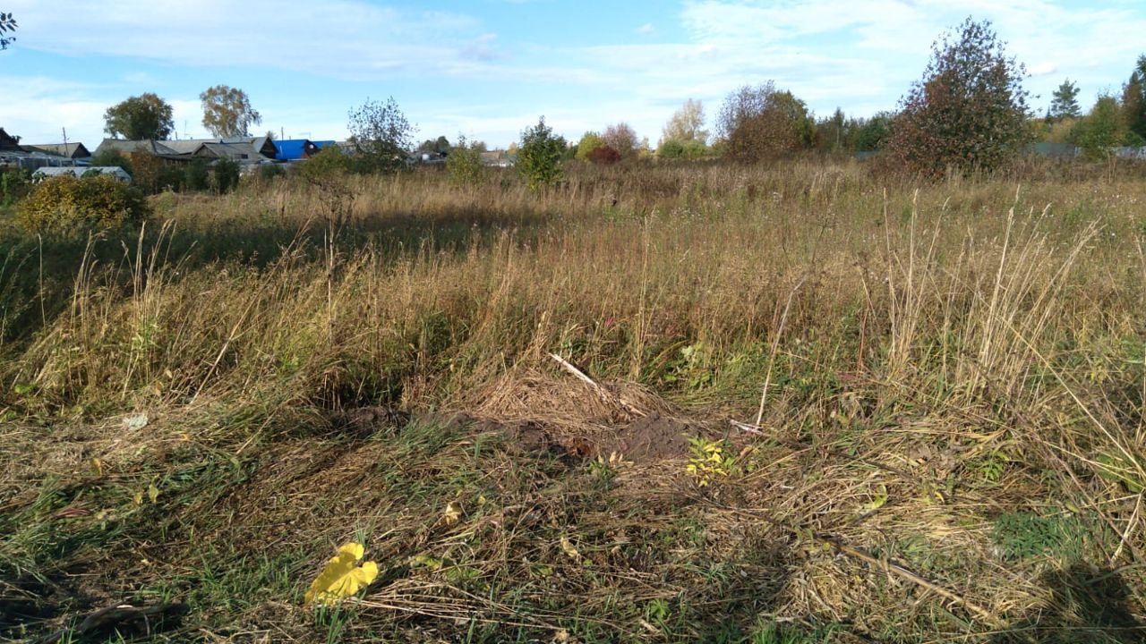 Купить участок 10 соток в поселке городского типа Атиг Нижнесергинского  района. Найдено 3 объявления.