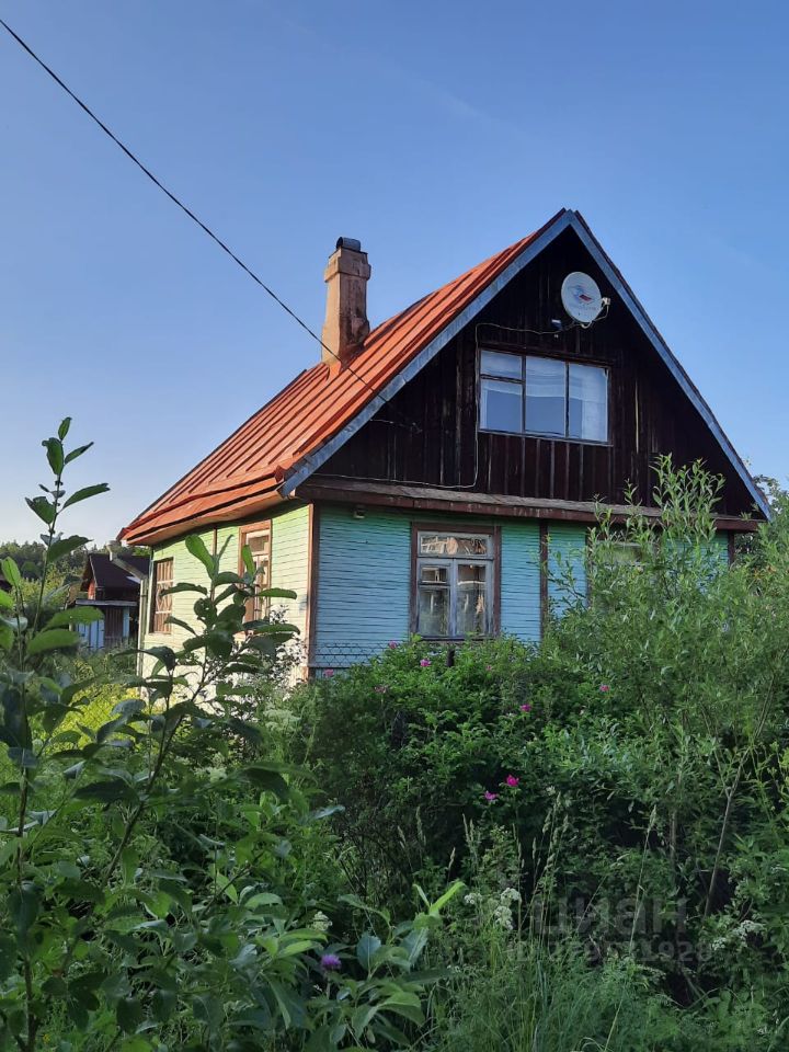 Чаща санкт. Чаща санкт. Лесная чаща краснодар. Ресторан в чаще охта парк. Чаща санкт.