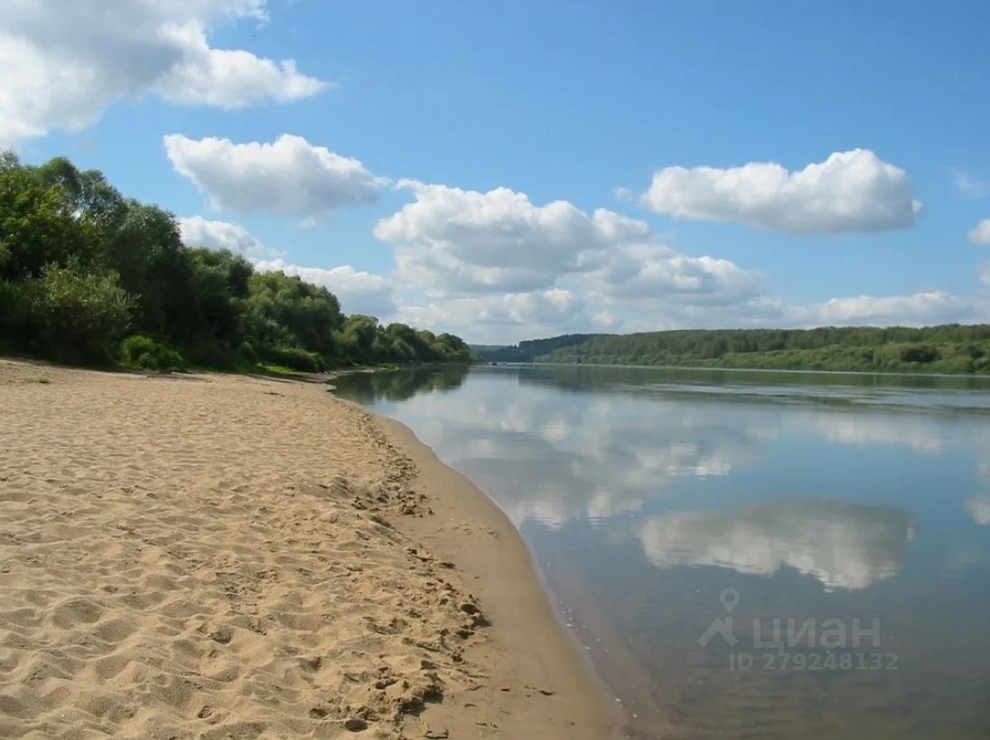 Скромняжка на берегу реки.