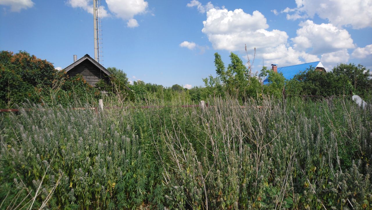 Купить дом в селе Кануевка Безенчукского района, продажа домов - база  объявлений Циан. Найдено 3 объявления