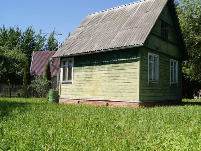 Осень в Павловском парке