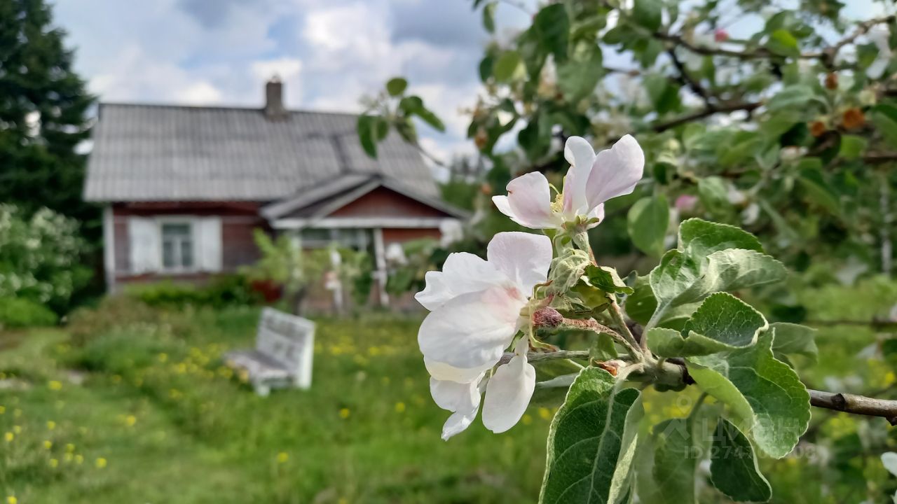 Купить дом в деревне Усадище Выборгского района, продажа домов - база  объявлений Циан. Найдено 2 объявления