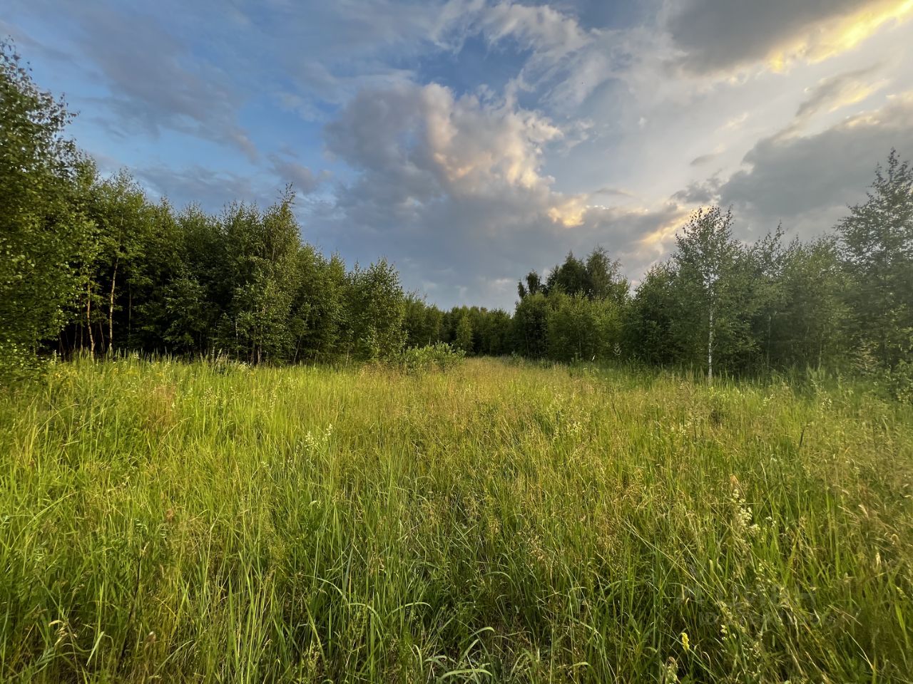 Купить загородную недвижимость в поселке Петряевка Нижегородской области,  продажа загородной недвижимости - база объявлений Циан. Найдено 2 объявления