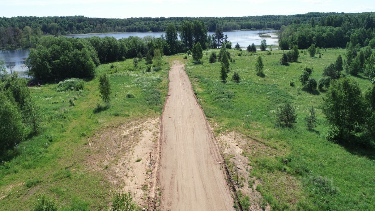 Купить участок 21сот. Новгородская область, Валдайский район, Едровское  с/пос, Большое Носакино деревня - база ЦИАН, объявление 221212965