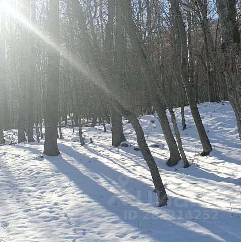 Ошибка загрузки фото