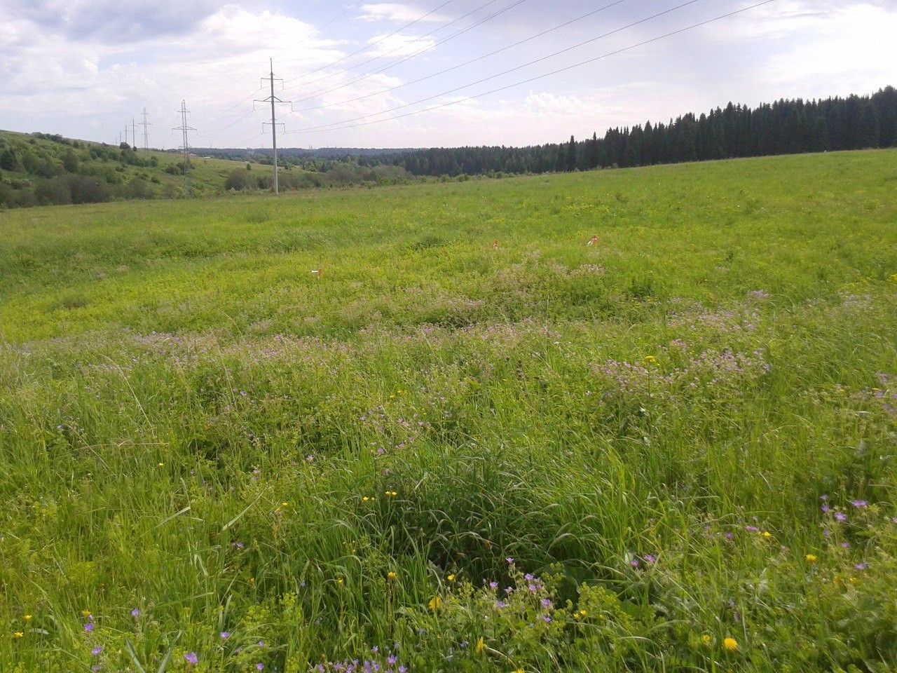 Купить загородную недвижимость в микрорайоне Пихтовая стрелка в городе Пермь,  продажа загородной недвижимости - база объявлений Циан. Найдено 4 объявления