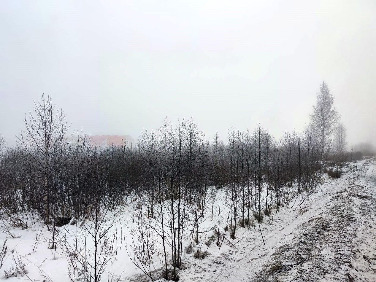 Купить земельный участок в микрорайоне Хутор Ракси в городе Всеволожск,  продажа земельных участков - база объявлений Циан. Найдено 2 объявления