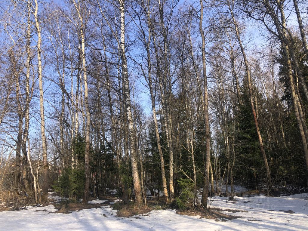 Купить загородную недвижимость в ДНП Лысково городского округа Мытищ,  продажа загородной недвижимости - база объявлений Циан. Найдено 1 объявление