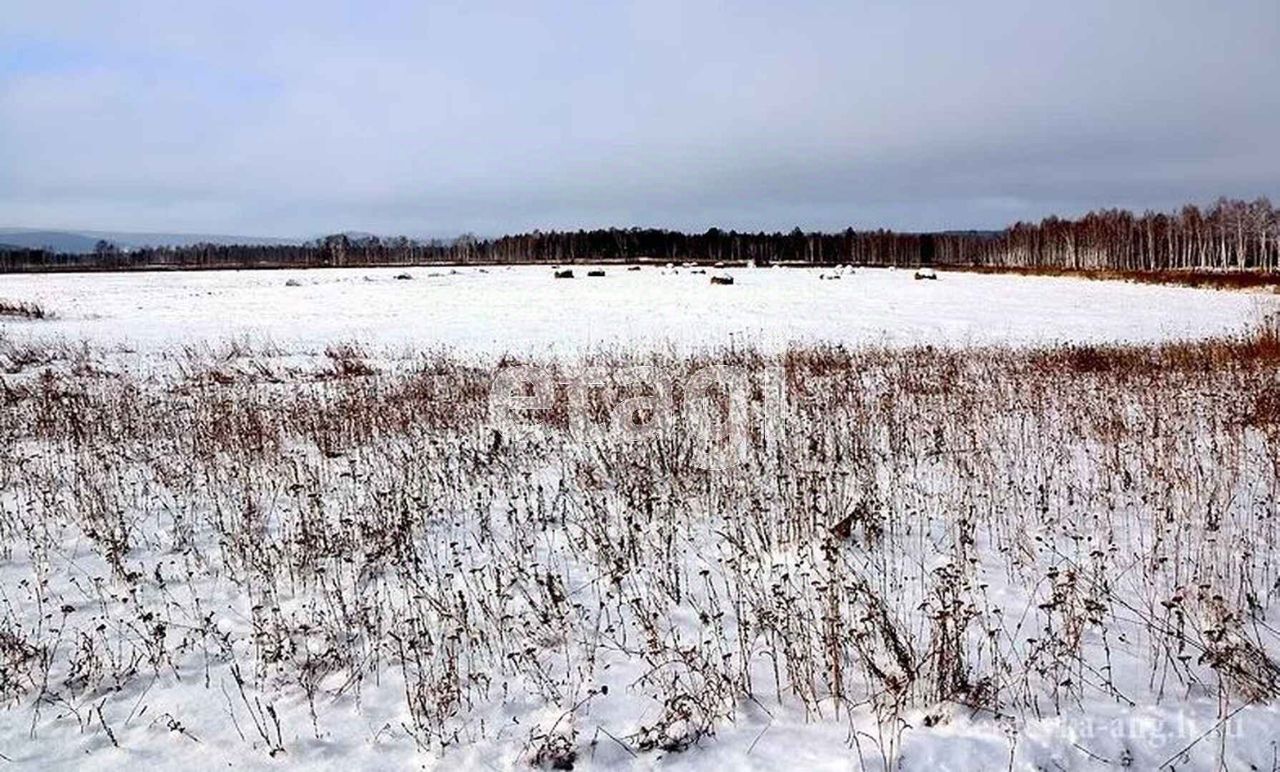 Свердловский полевая улица