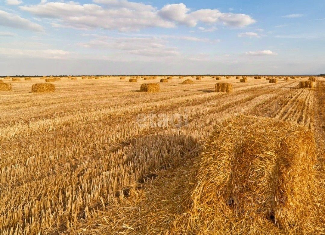 Купить земельный участок в селе Айша республики Татарстан, продажа  земельных участков - база объявлений Циан. Найдено 16 объявлений