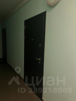 студия, 40 м², этаж 3