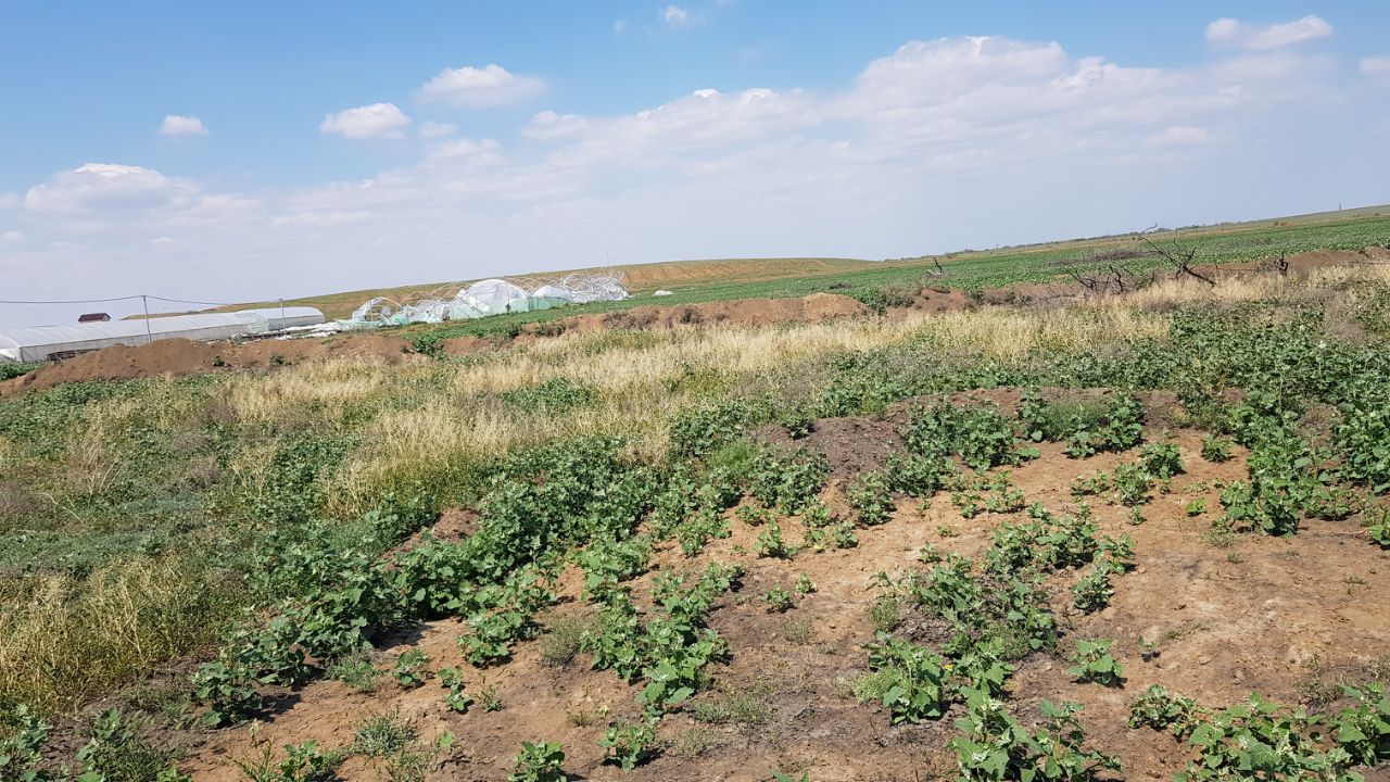 Купить земельный участок в селе Яксатово Приволжского района, продажа  земельных участков - база объявлений Циан. Найдено 28 объявлений