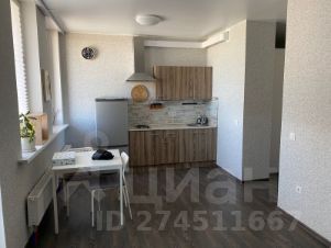 студия, 27 м², этаж 12