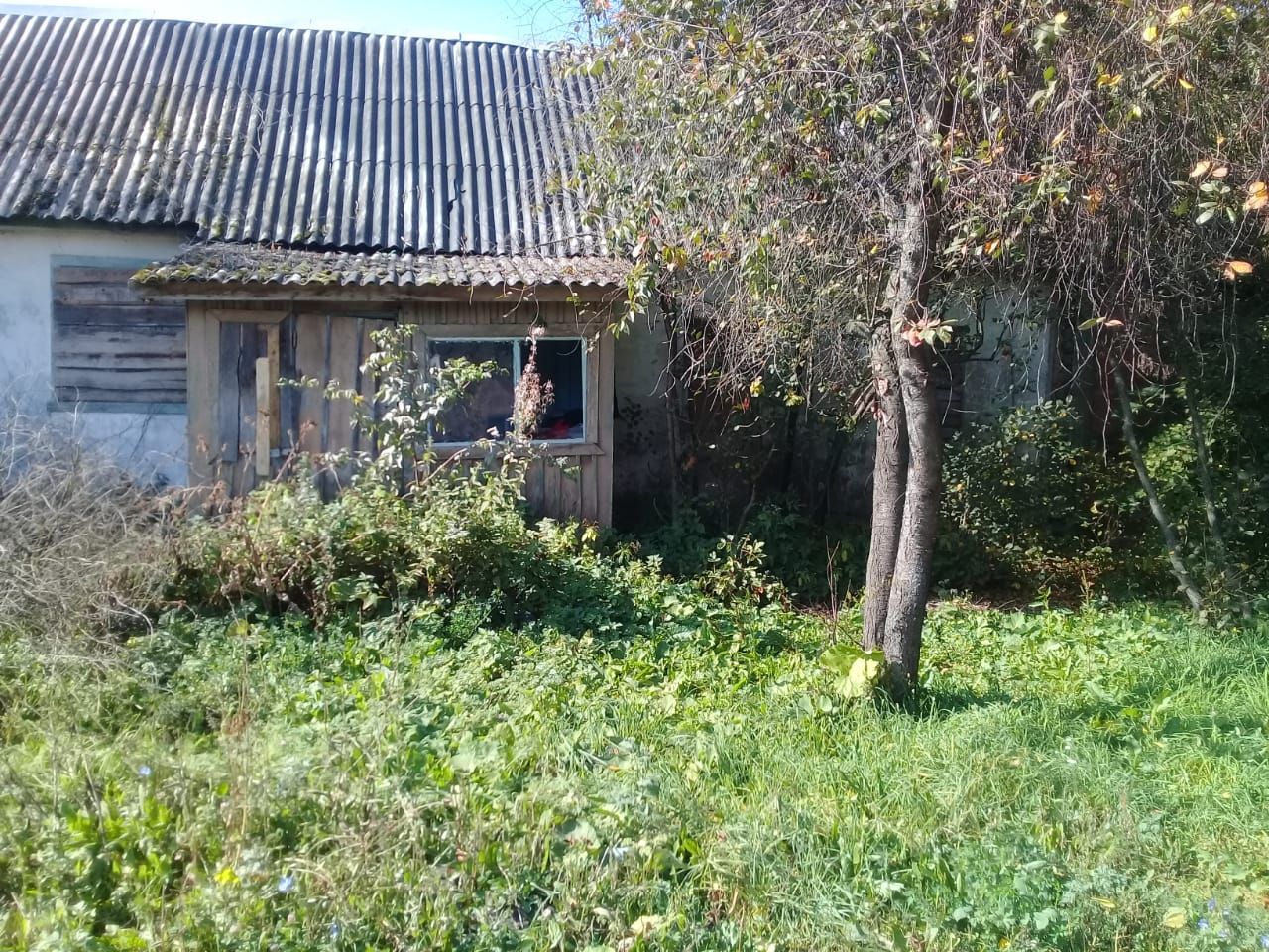 Кокино фото