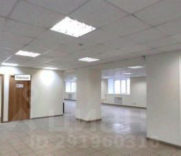 своб. назнач. 268 м², этаж -1