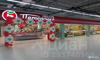 торг. площадь 100 м², этаж 1