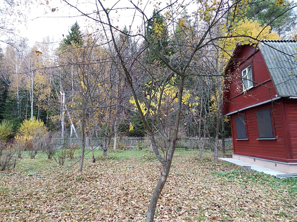 Купить дом в СНТ Росинка-1 городского округа Рузского, продажа домов - база  объявлений Циан. Найдено 2 объявления