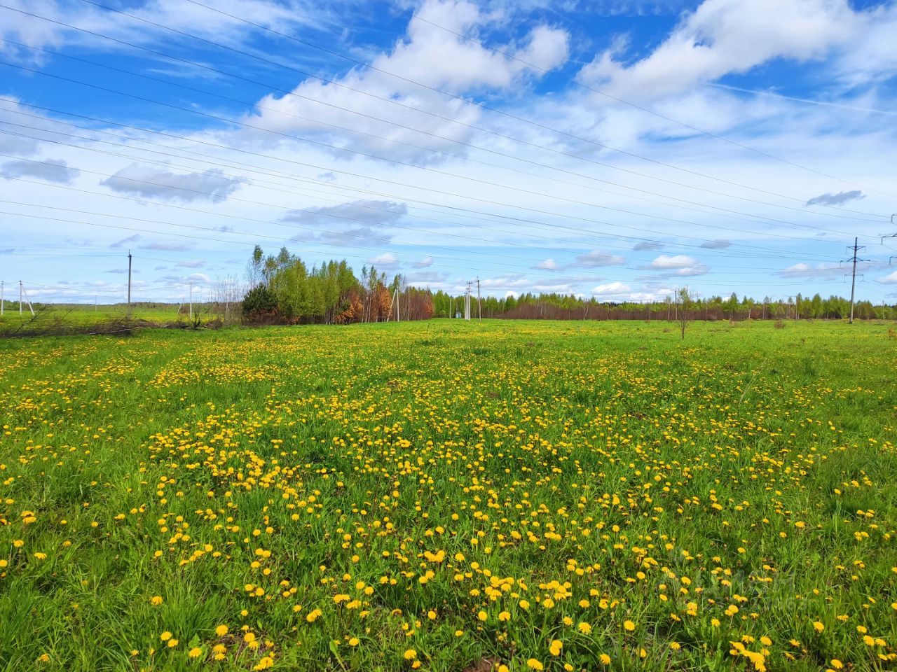 Купить Земельный Участок В Тверской Области