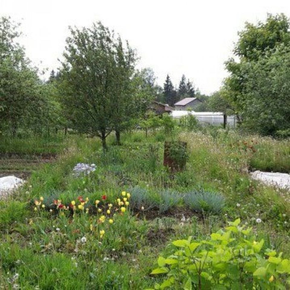 Купить загородную недвижимость на улице Поселок Тихвинка в городе Смоленск,  продажа загородной недвижимости - база объявлений Циан. Найдено 3 объявления