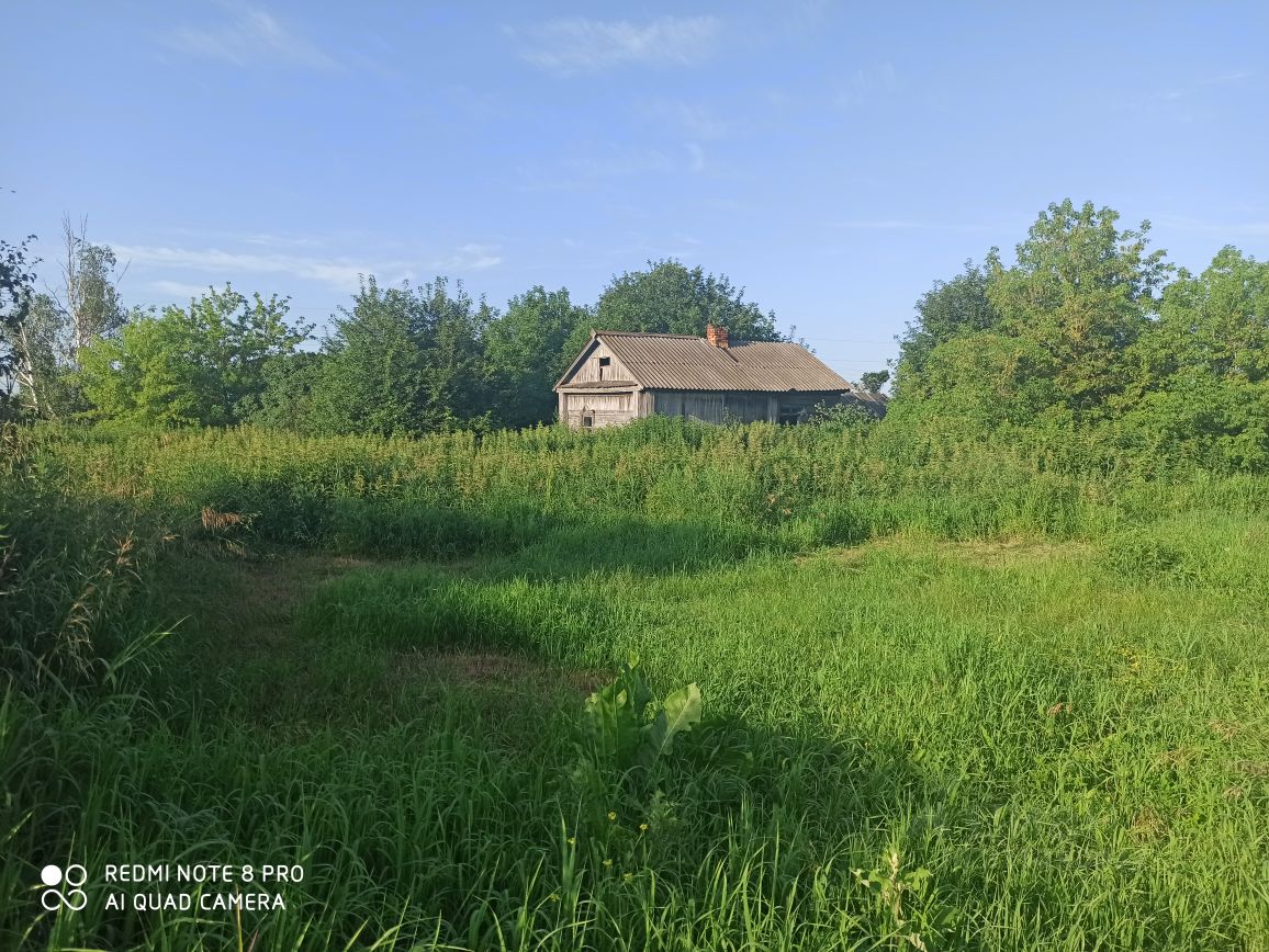 Купить загородную недвижимость в селе Борец Сараевского района, продажа  загородной недвижимости - база объявлений Циан. Найдено 4 объявления