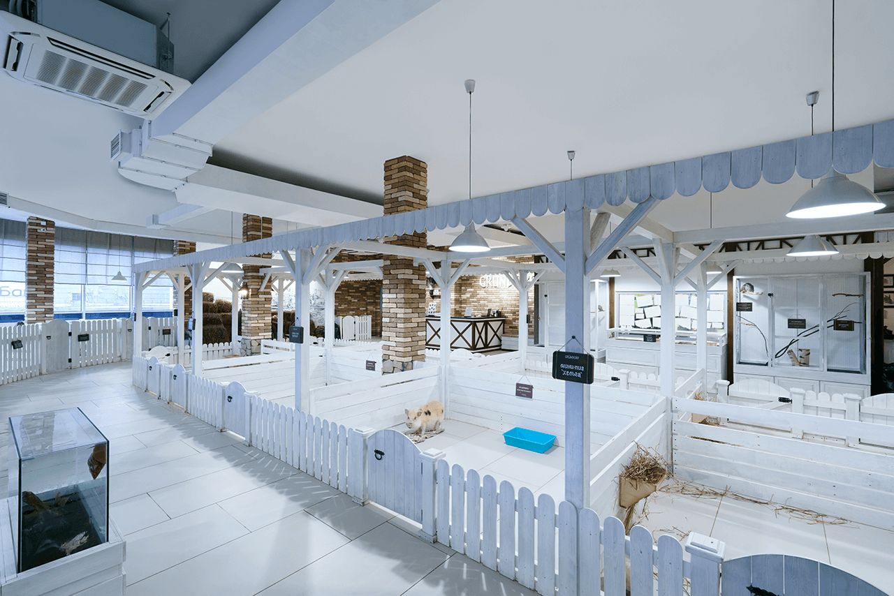 продажа помещений в ТЦ Вятка-ЦУМ