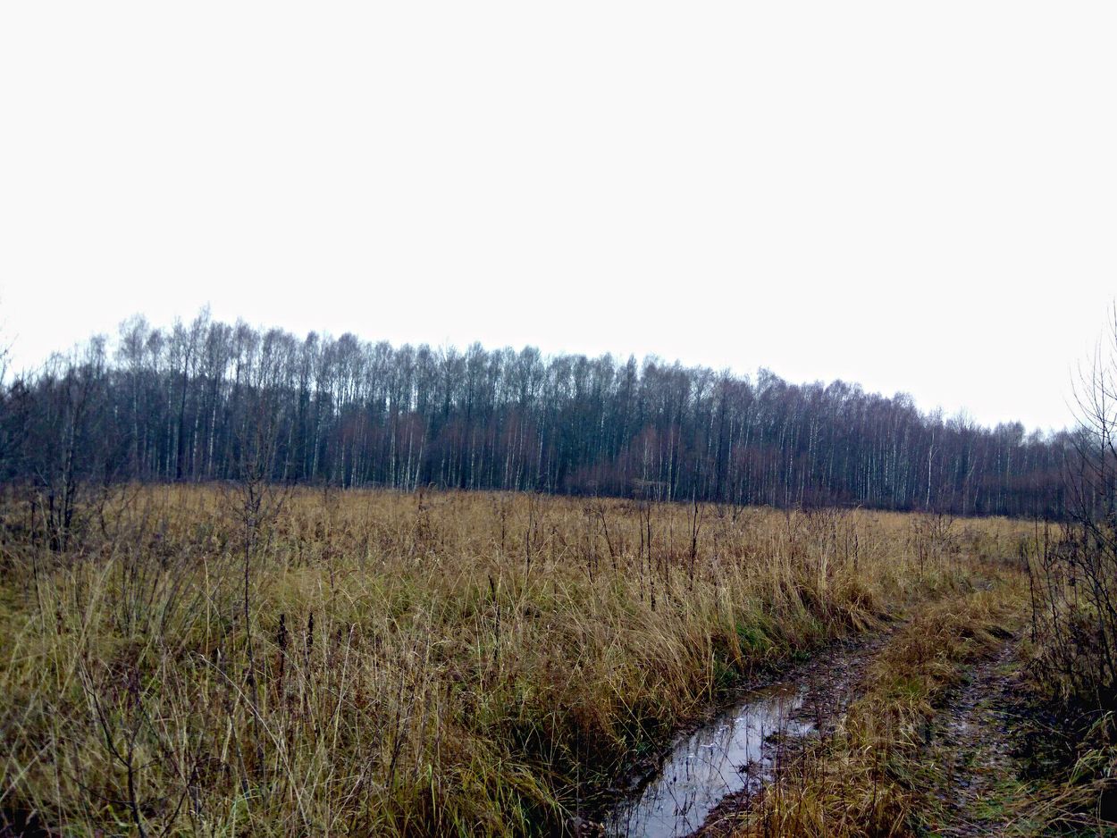 Купить загородную недвижимость в поселке Батюшково Гагаринского района,  продажа загородной недвижимости - база объявлений Циан. Найдено 1 объявление