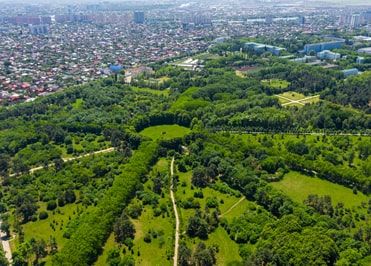 Парки