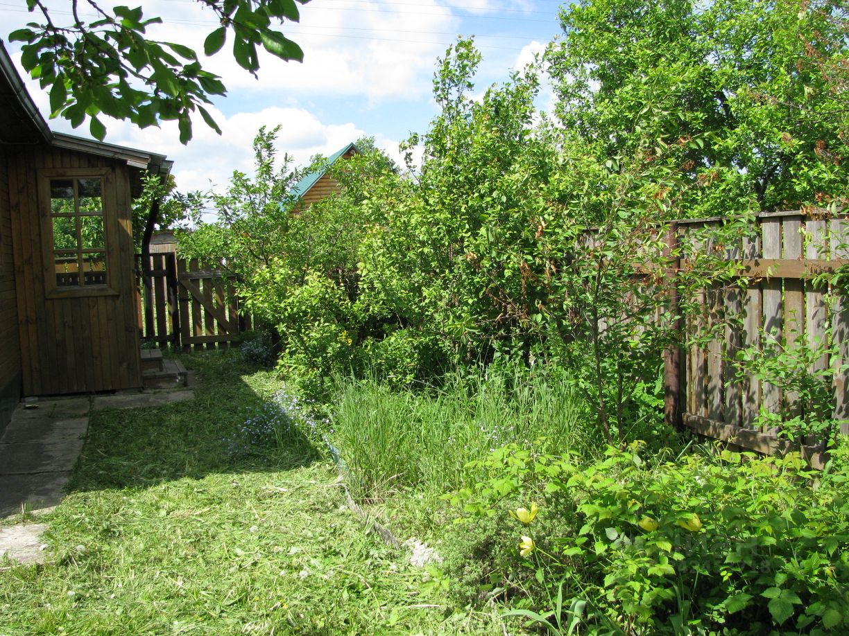 Авито малино. Село Бортниково Ступинский. Бортниково Московская область.