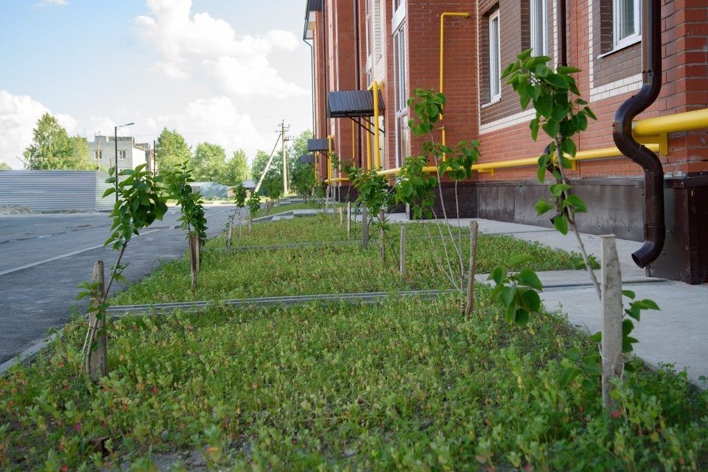 ЖК Сирень