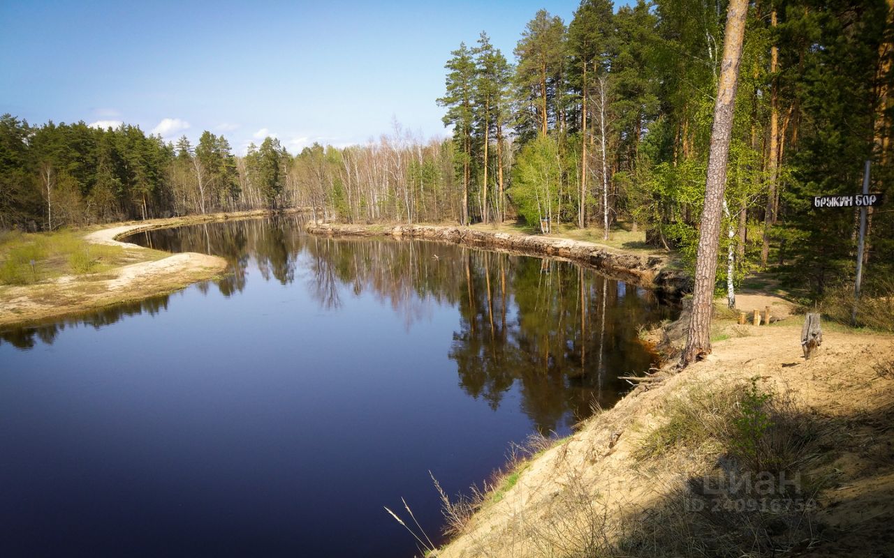 Купить земельный участок в деревне Папушево Спасского района, продажа  земельных участков - база объявлений Циан. Найдено 2 объявления