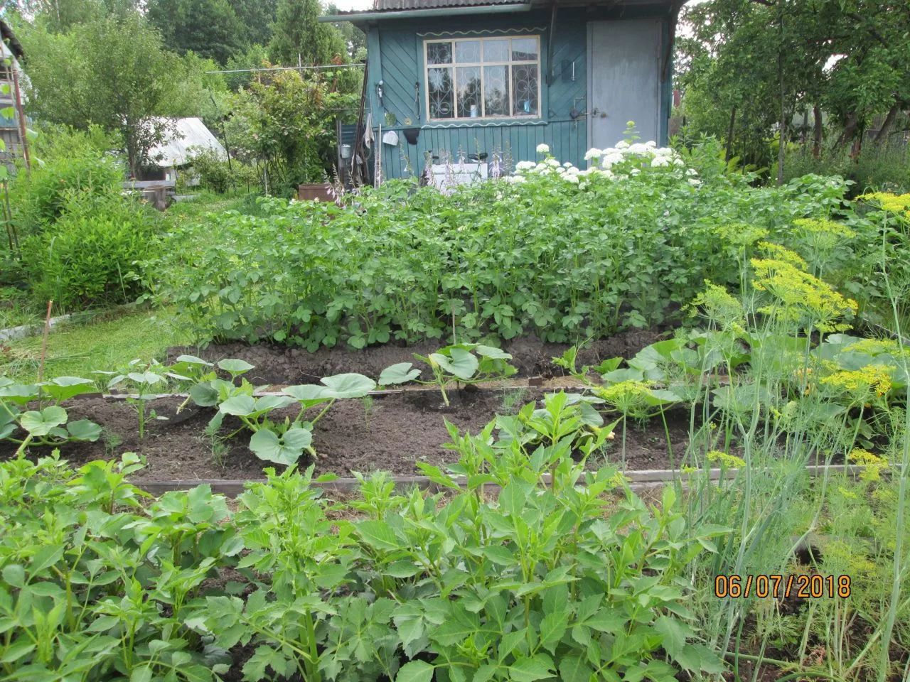 Купить земельный участок в городском округе Орехово-Зуево Московской  области, продажа земельных участков - база объявлений Циан. Найдено 4  объявления