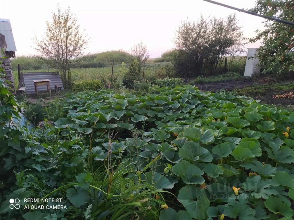 Купить дом в Нурлате, продажа домов - база объявлений Циан. Найдено 11  объявлений