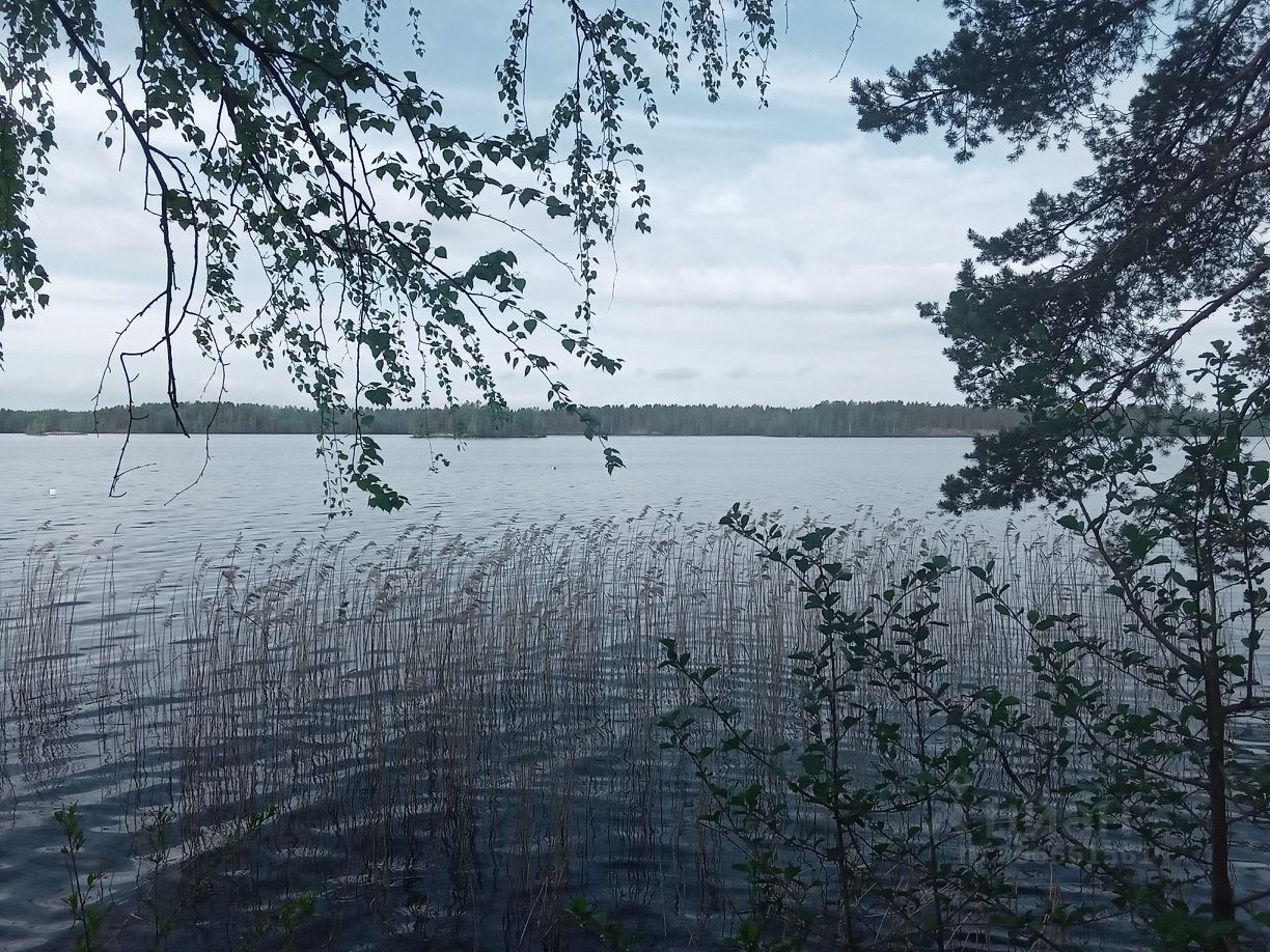 Купить загородную недвижимость в деревне Поселок Карельская Прионежского  района, продажа загородной недвижимости - база объявлений Циан. Найдено 4  объявления