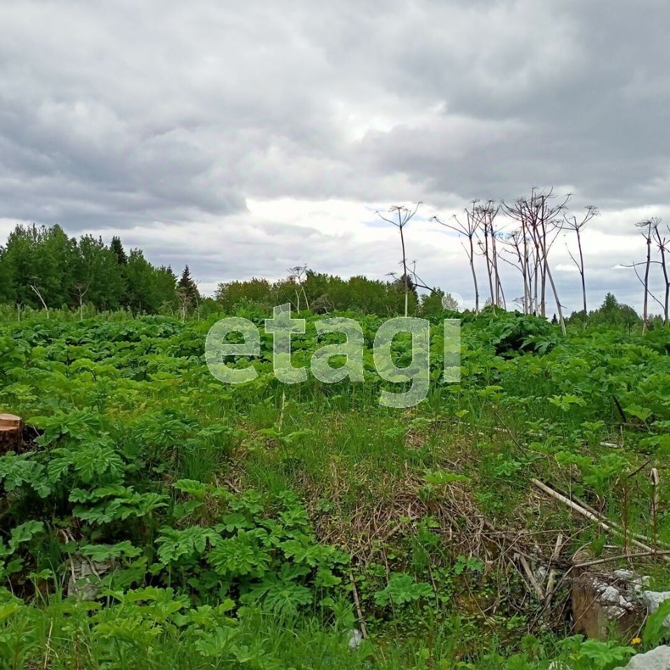 Купить загородную недвижимость в местечке Давпон в городе Сыктывкар,  продажа загородной недвижимости - база объявлений Циан. Найдено 2 объявления