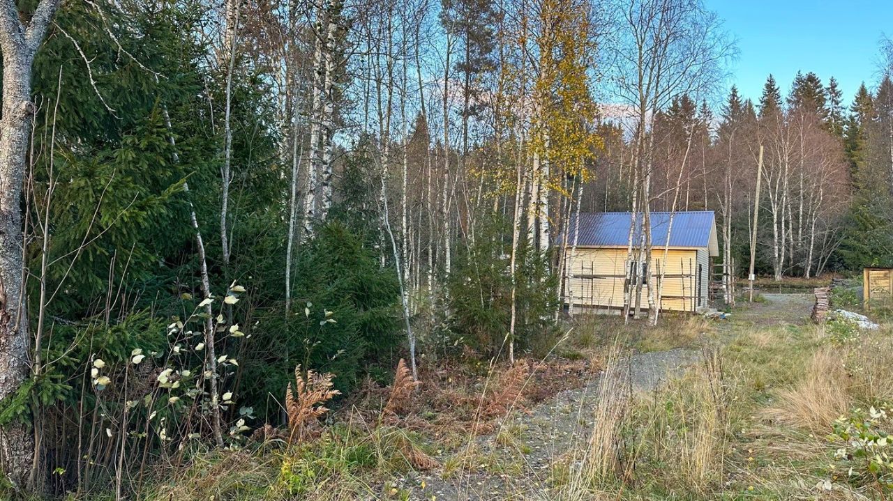 Купить загородную недвижимость в деревне Хийденсельга республики Карелия,  продажа загородной недвижимости - база объявлений Циан. Найдено 3 объявления