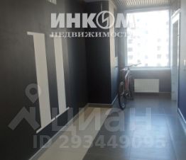 студия, 24 м², этаж 11