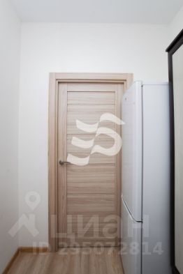 студия, 24 м², этаж 9