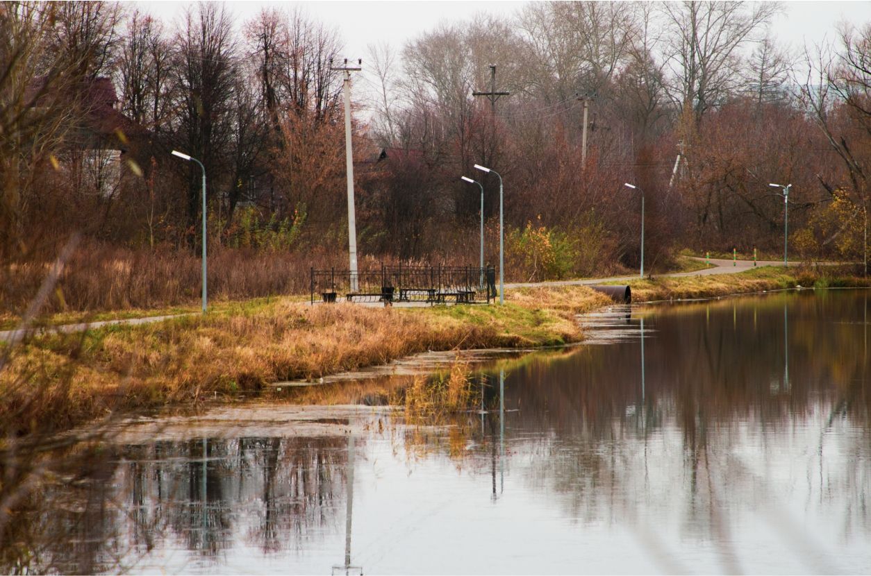 Парки