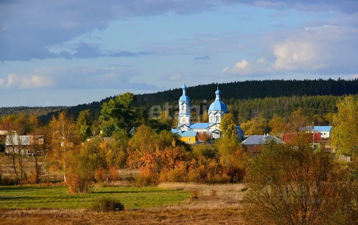 Купить участок 10сот. Тамбовская область, Знаменский муниципальный округ,  Царевка село - база ЦИАН, объявление 291608889