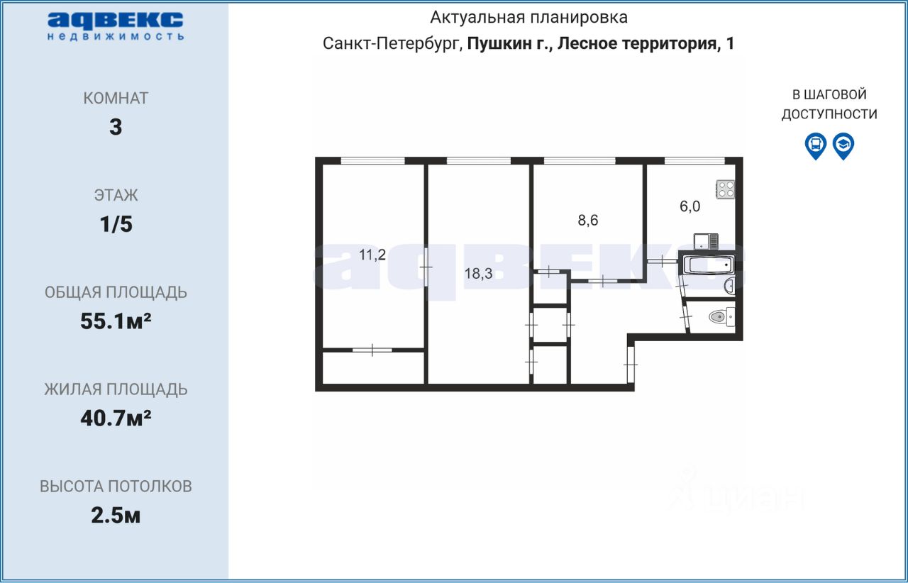 Купить квартиру в территории Лесное в городе Пушкин, продажа квартир во  вторичке и первичке на Циан. Найдено 5 объявлений