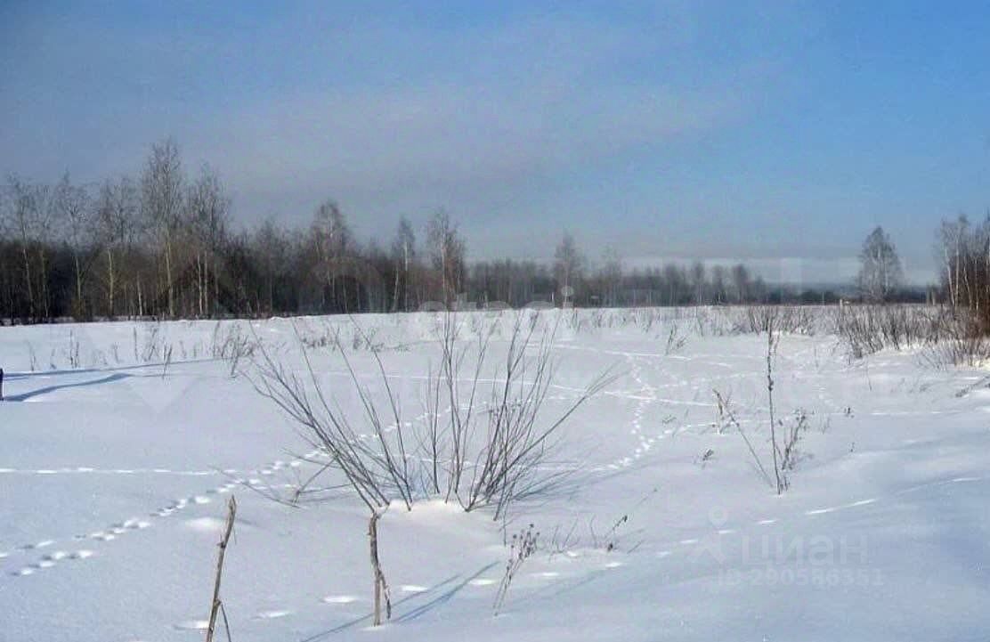 Посёлок Спасский Челябинской области